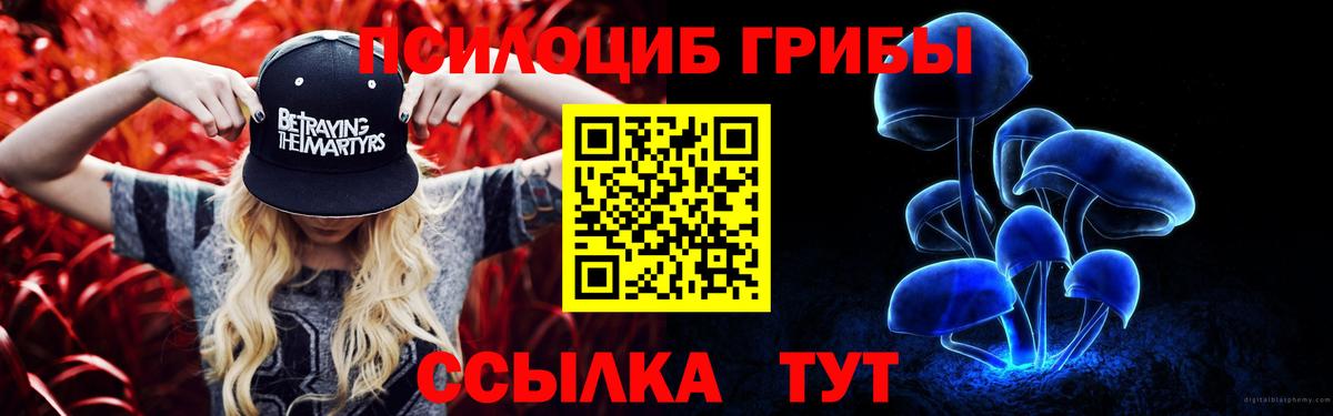 Галлюциногенные грибы Cubensis Краснодар